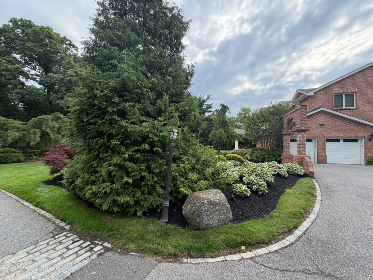 Curved foundation planting and evergreen beds framing a brick home