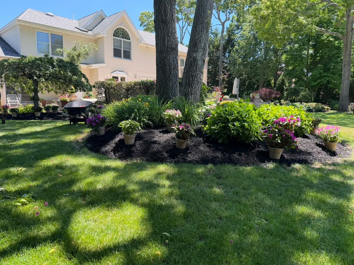 Flowering foundation bed and fresh mulch in front of a Long Island home