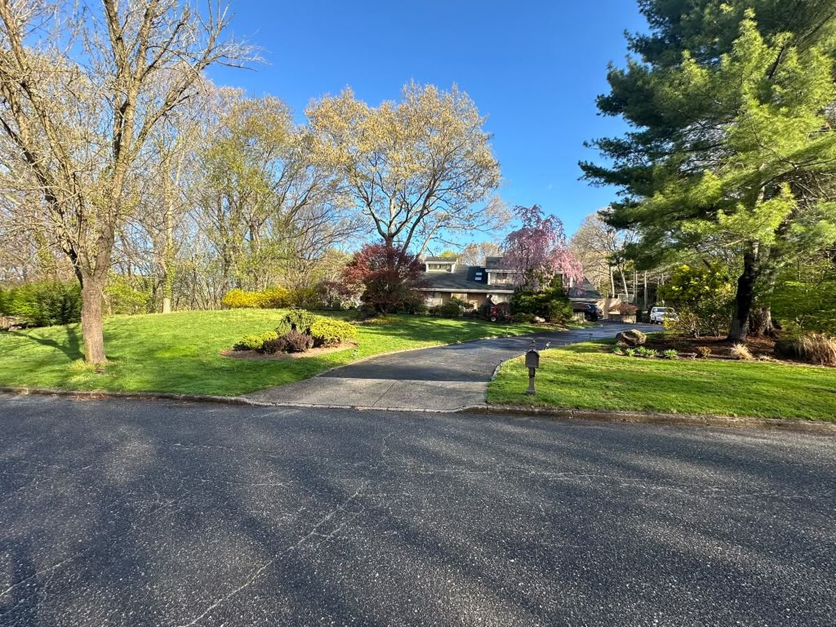 Spring lawn and flowering trees along a residential driveway